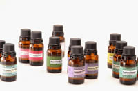 �G�b�Z���V�����I�C��